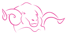 Terug naar de startpagina Logo Catherine's online wolwinkel